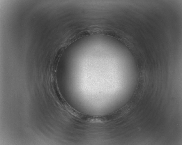 X0000081310751200701111002