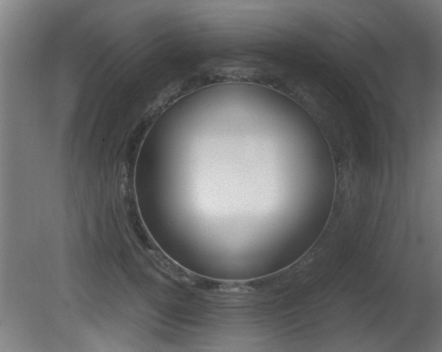 X0000081310752200701111002