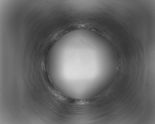 X0000081310754200701111002
