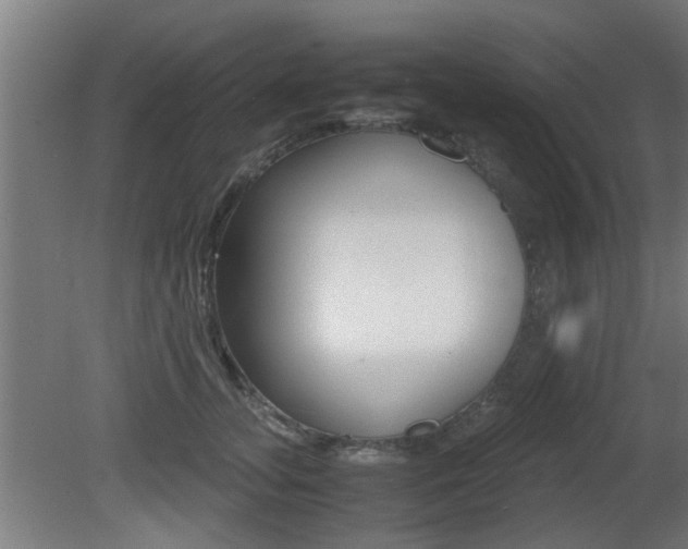 X0000081310755200701111002