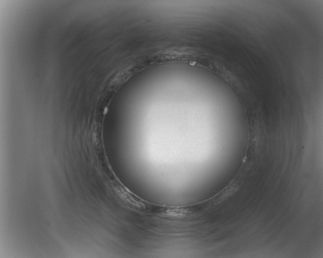 X0000081310758200701111002