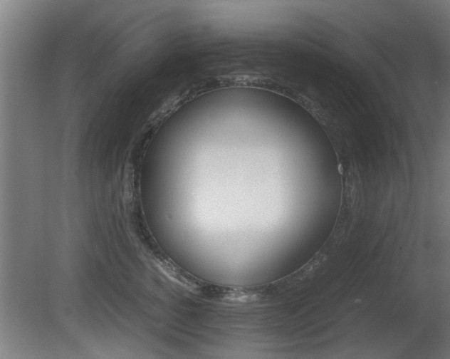 X0000081310760200701111002