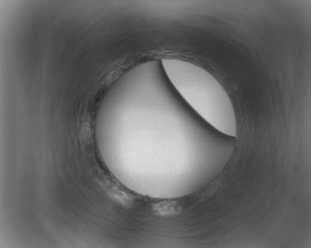 X0000081310761200701111002