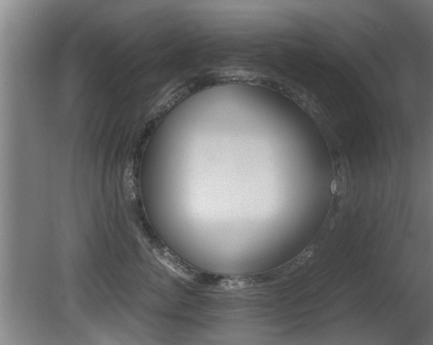 X0000081310764200701111002