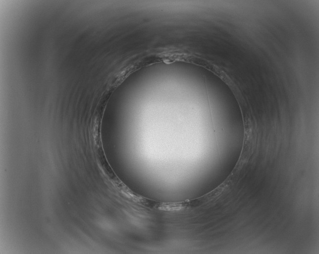 X0000081310767200701111002