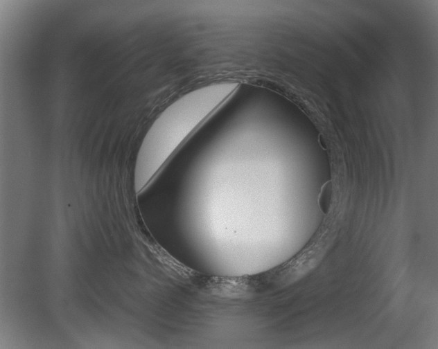 X0000081310768200701111002
