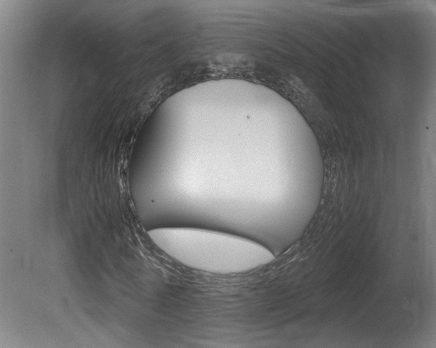 X0000081310770200701111001