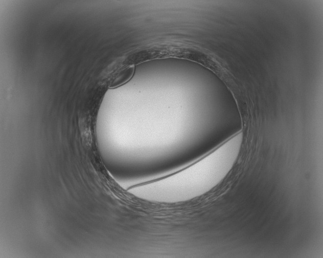 X0000081310771200701111001