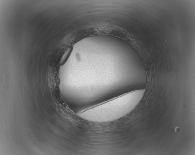 X0000081310772200701111001
