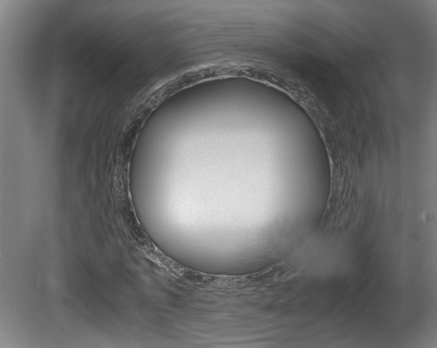 X0000081310773200701111001
