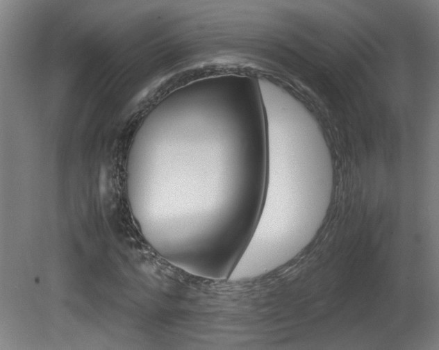 X0000081310776200701111001