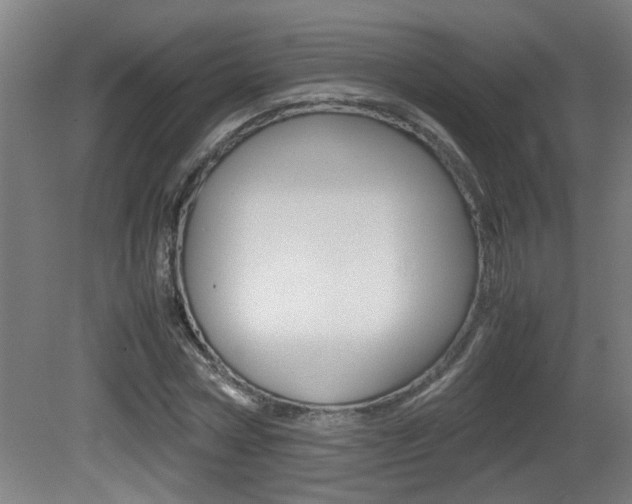 X0000081310778200701111001