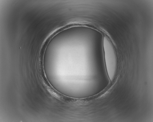 X0000081310779200701111001