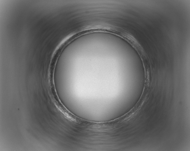 X0000081310780200701111001