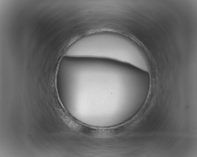 X0000081310785200701111001