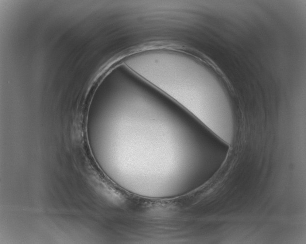 X0000081310786200701111001