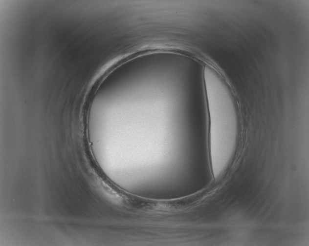 X0000081310787200701111001