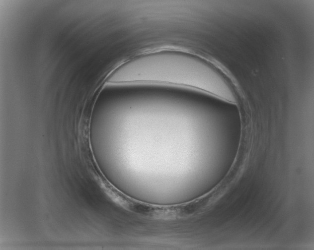 X0000081310793200701111001