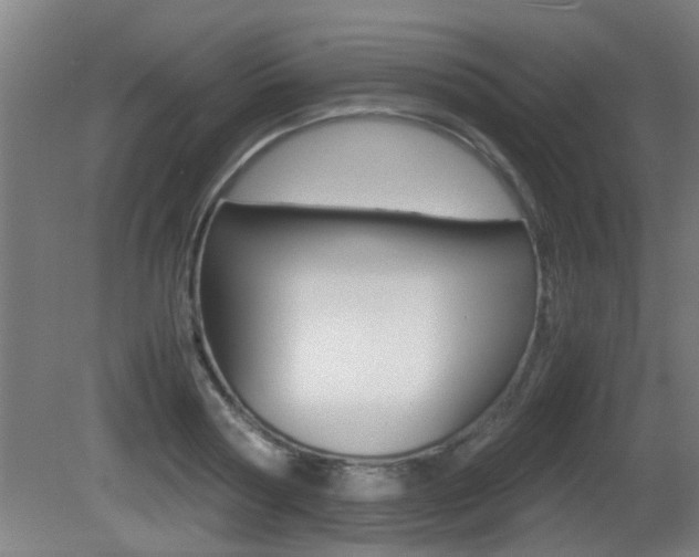 X0000081310794200701111001