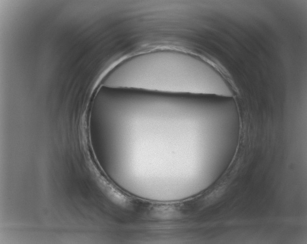 X0000081310798200701111001