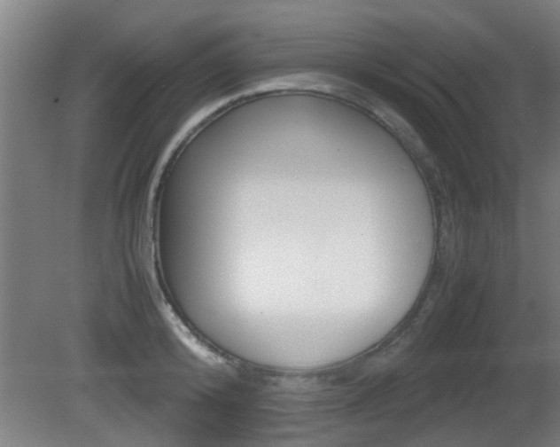 X0000081310800200701111001