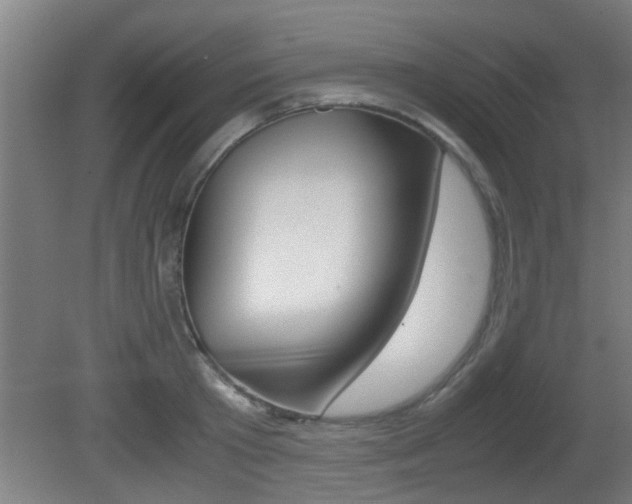 X0000081310801200701111001