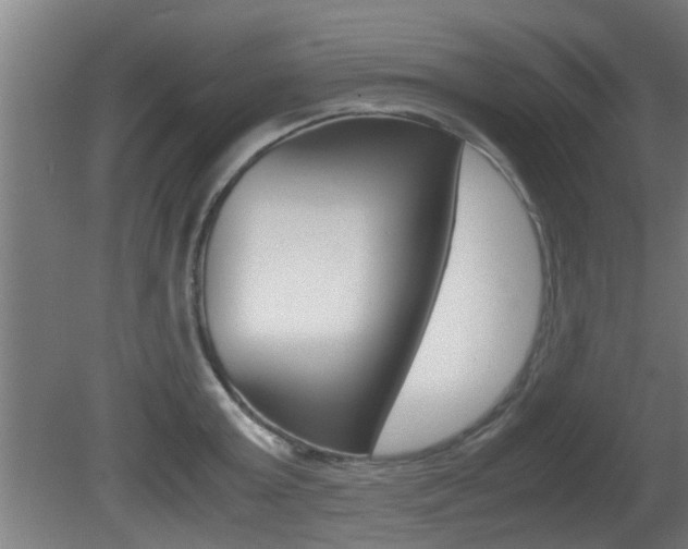 X0000081310803200701111001