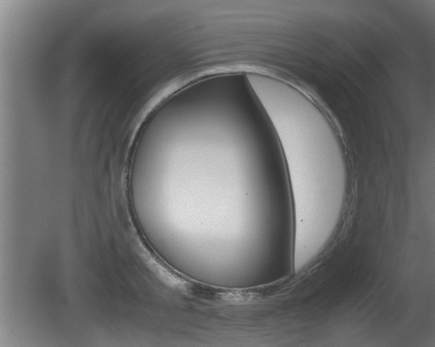 X0000081310805200701111001