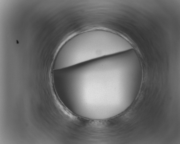 X0000081310806200701111001