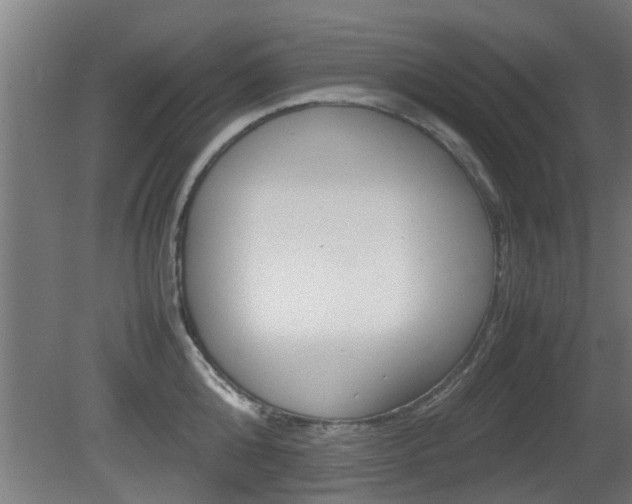 X0000081310808200701111001