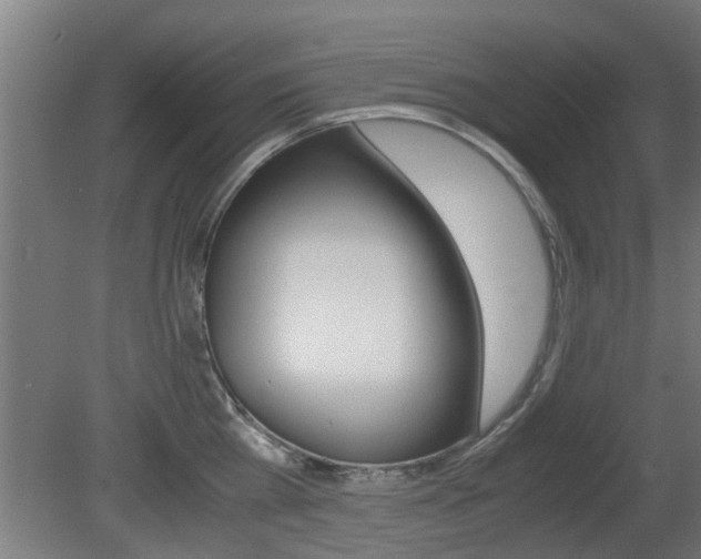 X0000081310809200701111001