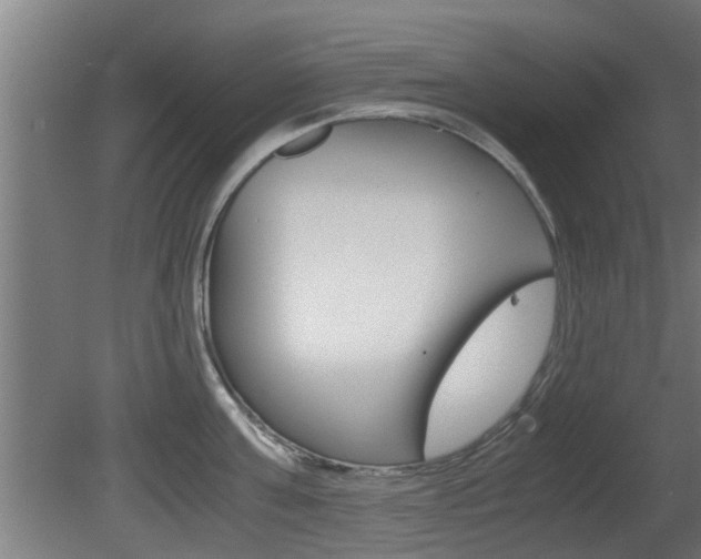 X0000081310811200701111001