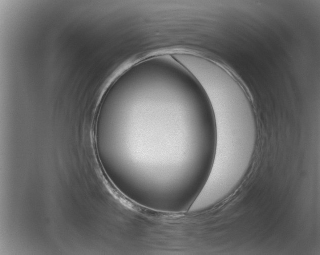 X0000081310813200701111001