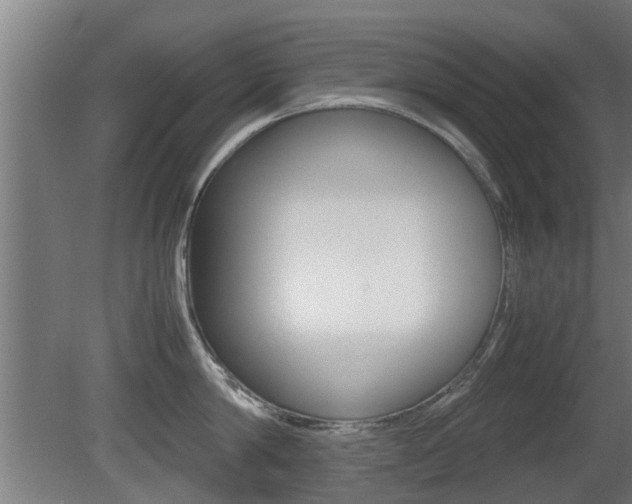 X0000081310814200701111001