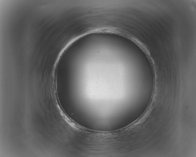 X0000081310816200701111001