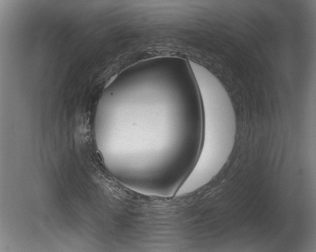 X0000081310818200701111000