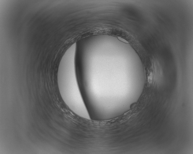 X0000081310819200701111000