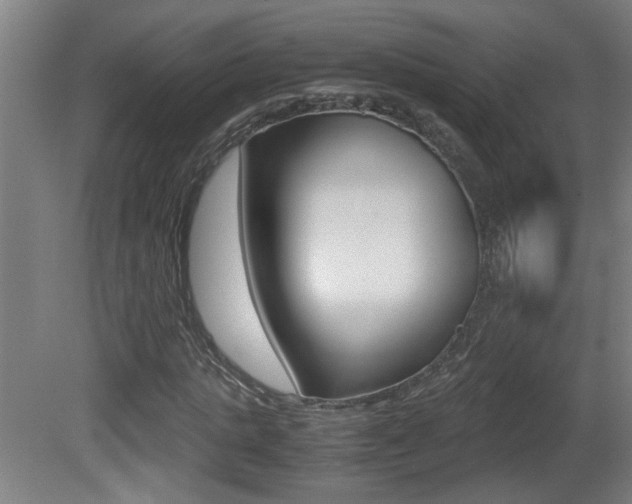 X0000081310821200701111000