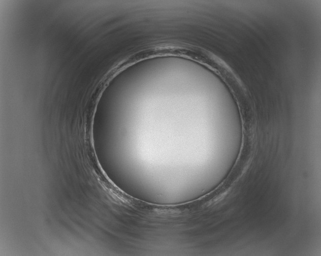 X0000081310825200701111000