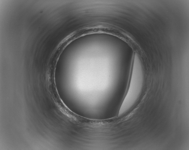 X0000081310826200701111000