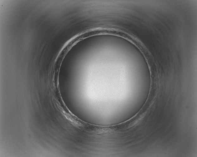 X0000081310830200701111000