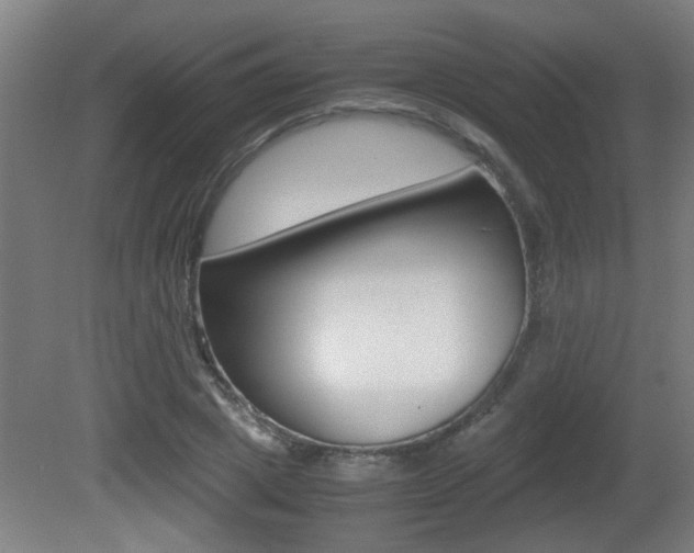 X0000081310833200701111000