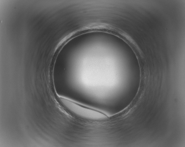 X0000081310834200701111000