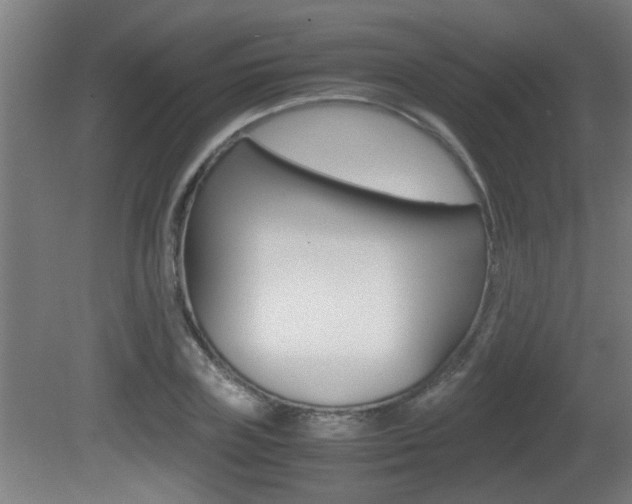 X0000081310835200701111000