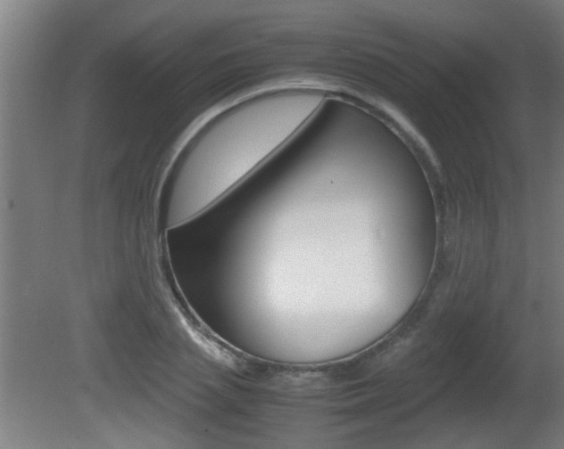 X0000081310837200701111000