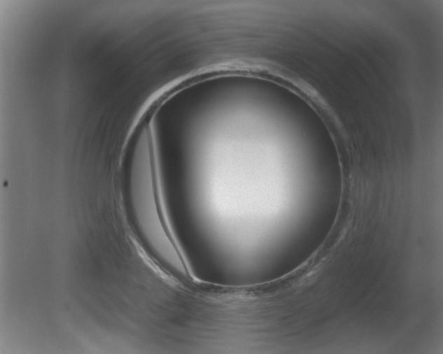 X0000081310838200701111000