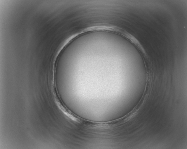 X0000081310844200701111000