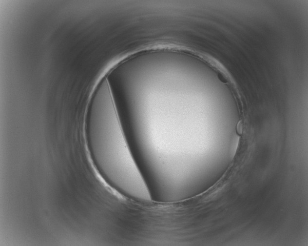 X0000081310847200701111000