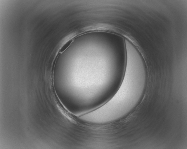 X0000081310850200701111000