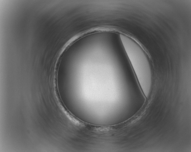 X0000081310853200701111000